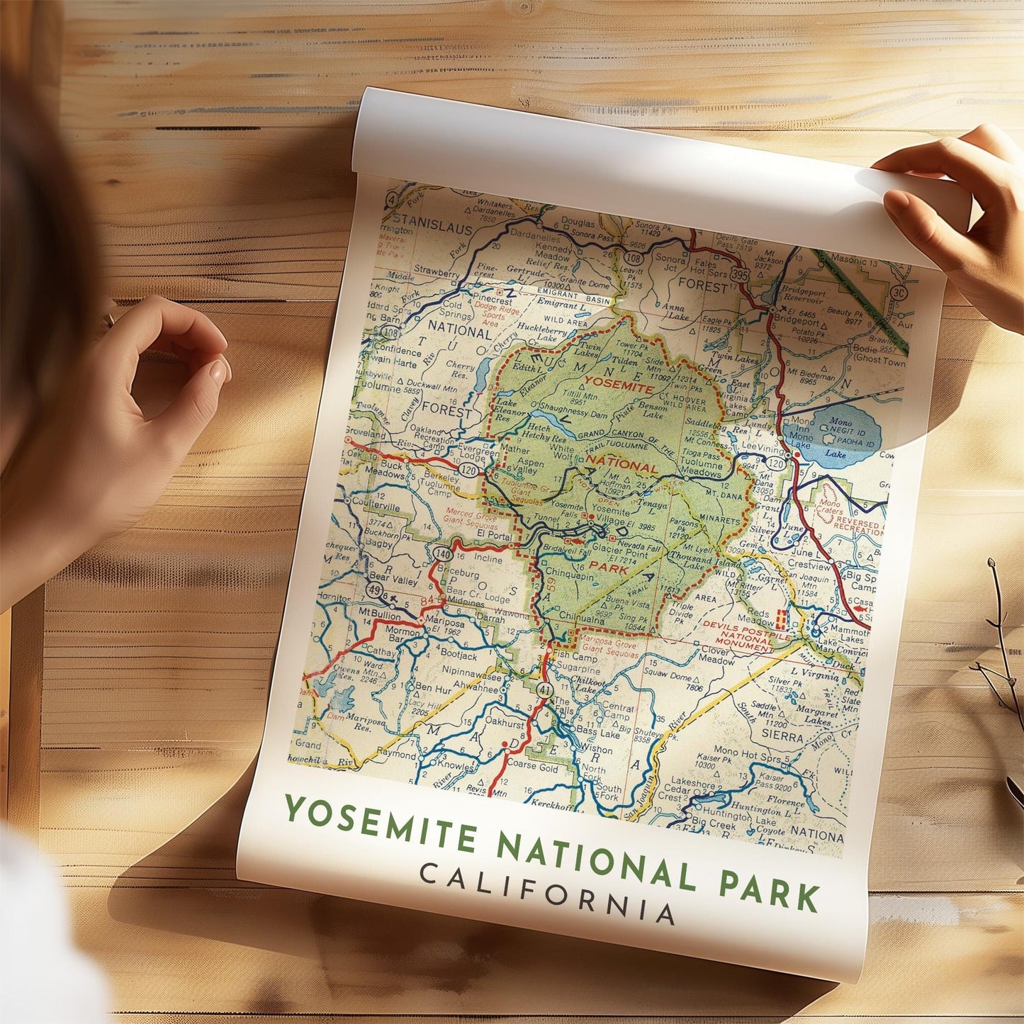 Yosemite National Park Vintage Map Print, California Travel Poster (Digital Download)