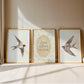 Vintage Bird Nursery Prints, Set of 3, Swallow Loved Beyond Measure Nursery Quote Wall Art