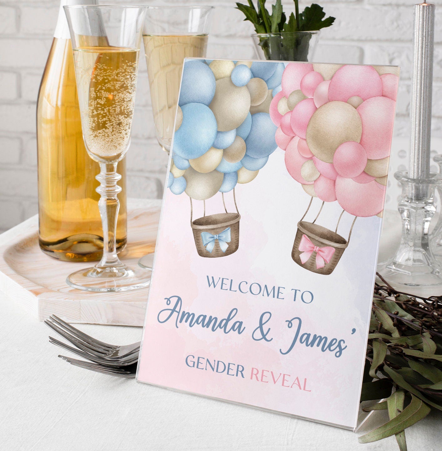 Pink and Blue Hot Air Balloon Gender Reveal Welcome Party Sign