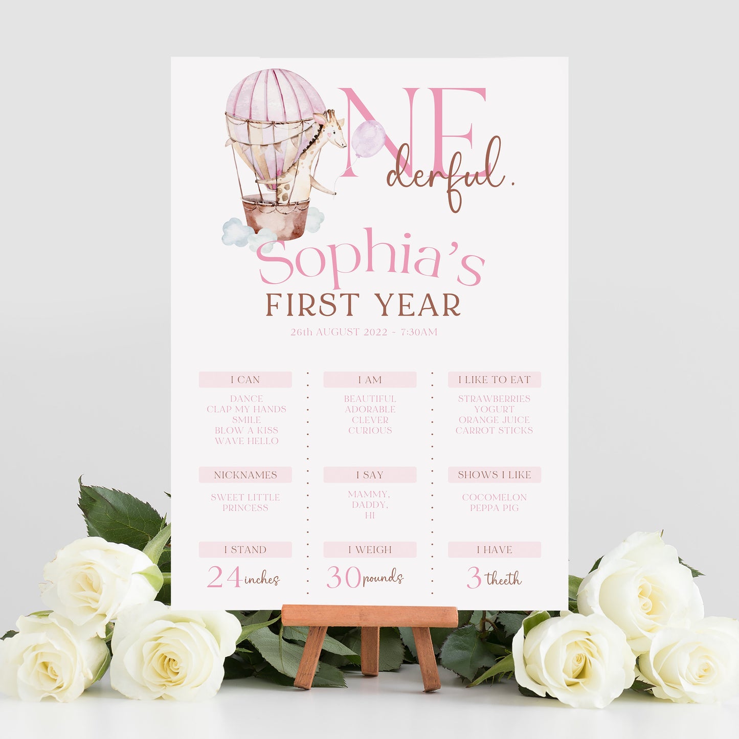 Pink OneDerful 1st Birthday Party Sign and Selfie Frame